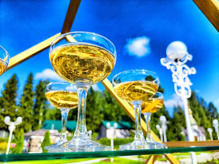 Elegant glasses filled with sparkling wine are displayed against a stunning blue sky with green trees in the background.の写真素材