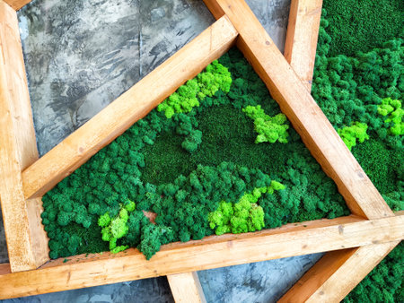 A creative display of lush green moss arranged within a wooden frame against an industrial-style concrete wall, showcasing modern design.の写真素材