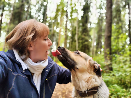 A woman interacts playfully with her German Shepherd in a vibrant forest full of trees and sunlight, enjoying a warm day outdoors.の写真素材