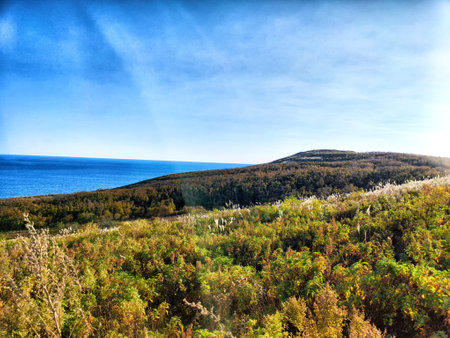Lush, green hills rise gently towards the ocean under a clear blue sky.の写真素材