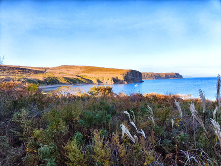 A serene coastline featuring hills, calm water, and autumn foliage.の写真素材