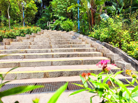 Stone steps guide visitors through a lush park filled with vibrant greenery and colorful flowers, inviting tranquility and exploration.の写真素材