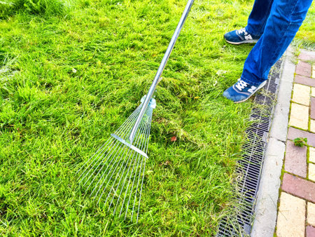 A person focuses on raking the grass in a well-maintained garden, emphasizing outdoor lawn care...
