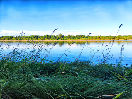 Lush green grass sways gently along the riverbank under a bright blue sky, reflecting the...