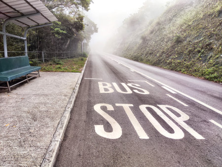 A bus stop sits abandoned along a quiet mountain road shrouded in thick morning fog with greenery on either side.の写真素材