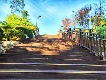 Sturdy steps rise toward a lush park, framed by vibrant autumn foliage and a bright blue sky, creating a peaceful atmosphere.の写真素材