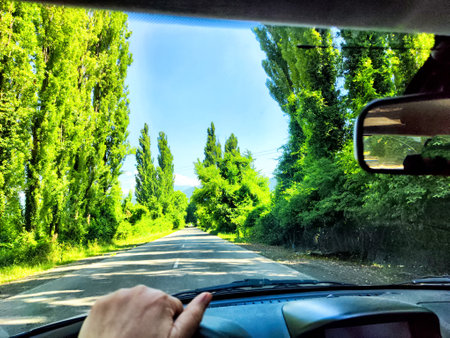 Car salon, windshield, hand of woman on steering wheel and landscape. View from seat of driver on nature with Road, tree and blue sky at sunny dayの写真素材