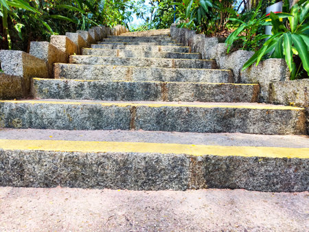 Stone steps with yellow markings ascend through vibrant foliage in a peaceful outdoor environment, inviting exploration and tranquility.の写真素材