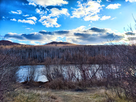 A serene river bordered by bare trees under a partly cloudy sky in the late afternoon.