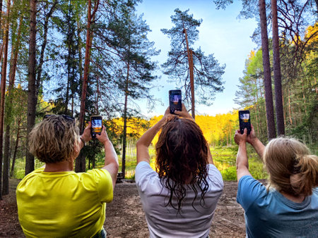Three individuals capture the beauty of a lush forest, their focusing smartphones on the vibrant...