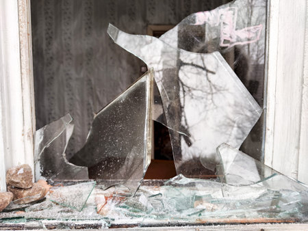 Shattered glass from a window reveals an abandoned room while reflecting tree branches outside on a...