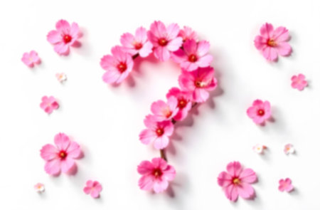 Pink flowers arranged in the shape of a question mark represent problems and the quest for understanding in difficult times.. Blurred pictureの素材