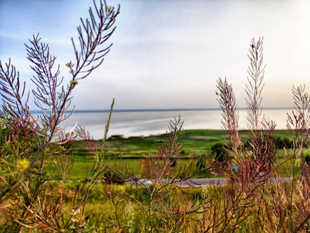 A peaceful moment capturing lush greenery and tranquil waters under the glow of a soft sunset landscape.の写真素材