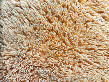 The plush peach surface features intricate fibers, creating a cozy texture ideal for soft...