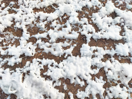 Patchy snow covers the ground, revealing soil beneath in a winter setting with clear space for text or additional content.の写真素材