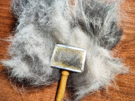 A tool designed for grooming pets effectively, surrounded by collected animal hair on a wooden surface.の写真素材