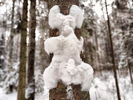 A peculiar snow formation shaped like a creature clings to a tree in a serene winter forest setting.の写真素材
