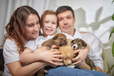 Family enjoying time together with adorable puppies at home on a sunny afternoonの写真素材