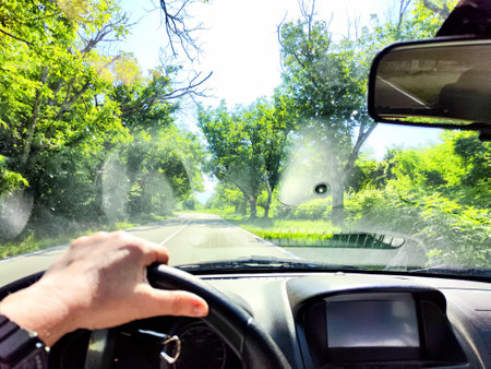 Car salon, windshield, hand of woman on steering wheel and landscape. View from seat of driver on...