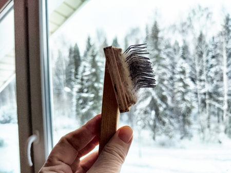 Holding a wooden hairbrush while gazing out at a snowy forest landscape on a winter morning.の写真素材