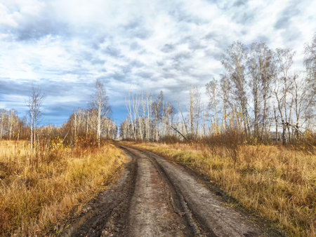 A dirt path meanders through an autumn landscape featuring dried grass and bare trees under cloudy skies.の写真素材