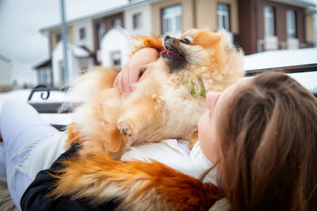 Pomeranian enjoys a winter walk with its owner in a snowy settingの写真素材