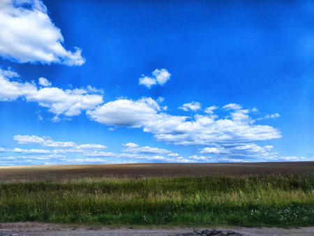 Bright blue sky adorned with fluffy white clouds stretches over a wide expanse of green grass under midday sunlight.の写真素材