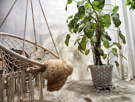 A vibrant Diffenbachia plant stands next to a stylish hanging chair, creating a calming atmosphere...