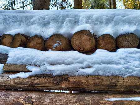 Snow-laden logs are neatly stacked on top of each other, surrounded by tall evergreen trees in a...