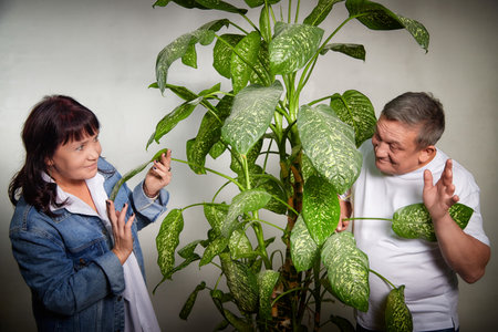 Middle-aged couple enjoying a joyful moment while posing with a large indoor plant in their cozy apartmentの写真素材