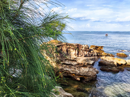 Vibrant greenery frames a rocky shoreline with calm waters and a distant boat. The scene captures the beauty of nature by the coast.の写真素材