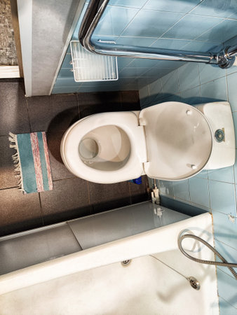 A well-maintained bathroom shows a white toilet next to a sleek shower area with blue tiles and a small rug on the floor.の写真素材