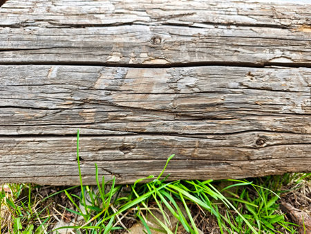 Textured surface of an old wooden log rests on lush green grass, showing natural aging and outdoor beauty under bright sunlight.の写真素材
