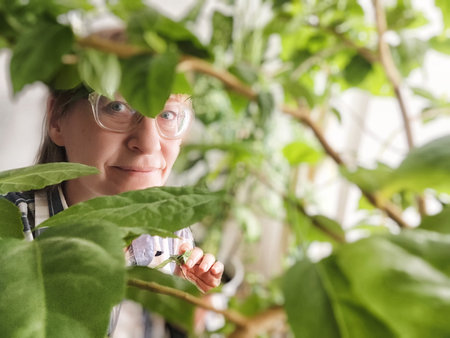 A middle-aged woman shares a peaceful moment in her home, surrounded by plants and enjoying her blogging lifestyle.の写真素材