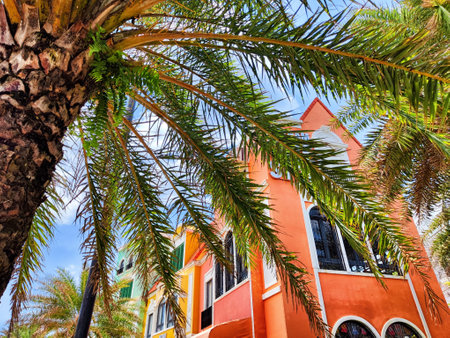 Vibrant orange building stands tall, surrounded by lush palm trees and a clear blue sky, capturing a warm tropical atmosphere.の写真素材