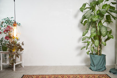 This indoor area features a vibrant green plant next to a stylish light fixture. A beautifully patterned rug completes the cozy atmosphere, perfect for relaxation or gathering.の写真素材