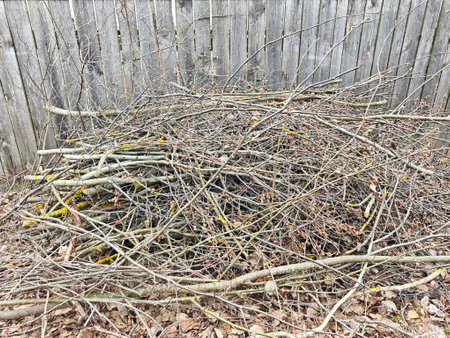 A large mound of dry branches and twigs sits in a backyard, showing signs of autumn leaves and seasonal cleanup efforts.の写真素材