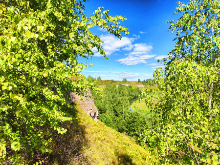 Lush green trees frame a vibrant landscape with rolling hills and a clear blue sky, capturing the beauty of nature on a sunny day.の写真素材