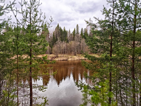Cloudy skies reflect off the calm river, framed by tall green trees and distant woodland, creating a peaceful atmosphere.の写真素材