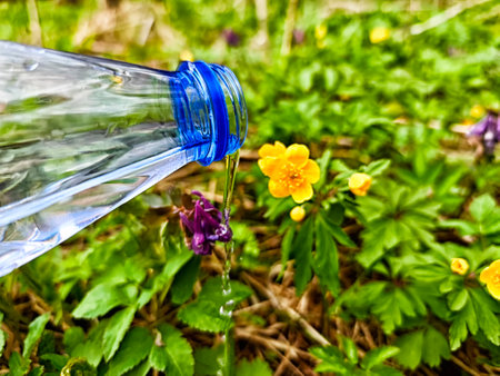 A clear stream of water flows from a bottle colorful onto wildflowers in a lush green meadow, showing the beauty of spring growth.の写真素材