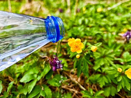 Water from a bottle nourishes colorful wildflowers in a lush green meadow on a bright day, promoting growth and beauty in nature.の写真素材