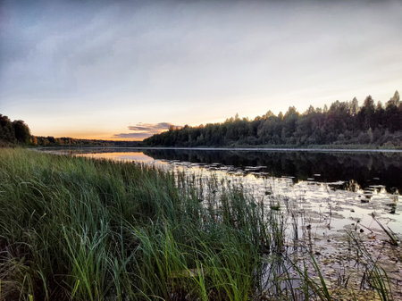 Soft hues of sunset illuminate the still water as tall grass frames the shore, creating a serene...