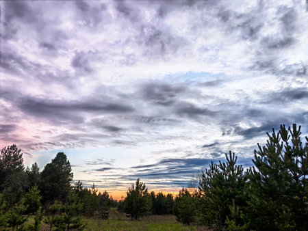 A vibrant sunset paints the sky with hues of orange and purple, while lush green trees create silhouettes against the colorful clouds.の写真素材