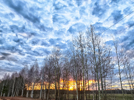 Colorful sunset illuminates the horizon as trees silhouette against the dramatic cloudy sky in a serene rural area.の写真素材