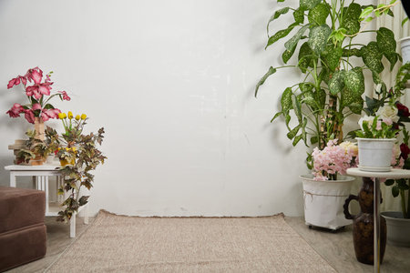 Brightly colored flower arrangements and vibrant indoor plants create a warm and inviting atmosphere in a cozy corner of Background, location, during daylight hours.の写真素材