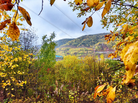Autumn leaves frame a view of the Krasnoyarsk Hydroelectric Power Station, showcasing the vibrant...