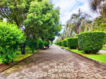 Visitors stroll along a paved pathway surrounded by vibrant greenery and palm trees, creating a peaceful atmosphere on a cloudy day.の写真素材