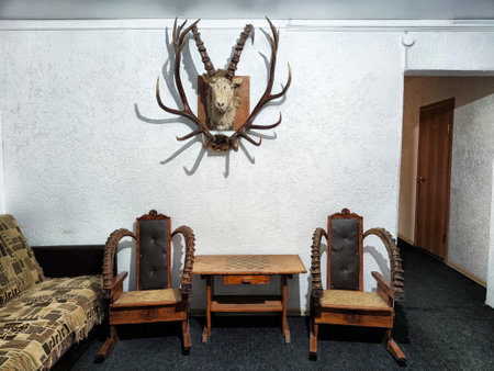 Cozy room showcases unique handcrafted furniture and a mounted trophy head against a plain wall, creating an inviting atmosphere.の写真素材