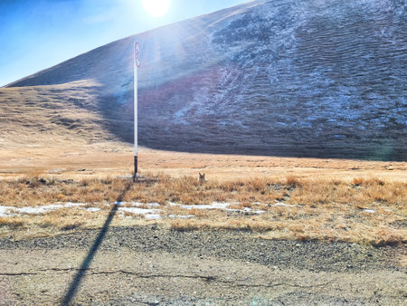 Brown grass covers the ground as a small animal grazes near a road sign at the mountain's base on a bright, sunny day.の写真素材