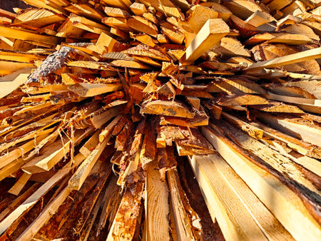 Stacked wooden logs create an intricate pattern in a lumber yard, illuminated by the warm glow of the afternoon sun.の写真素材